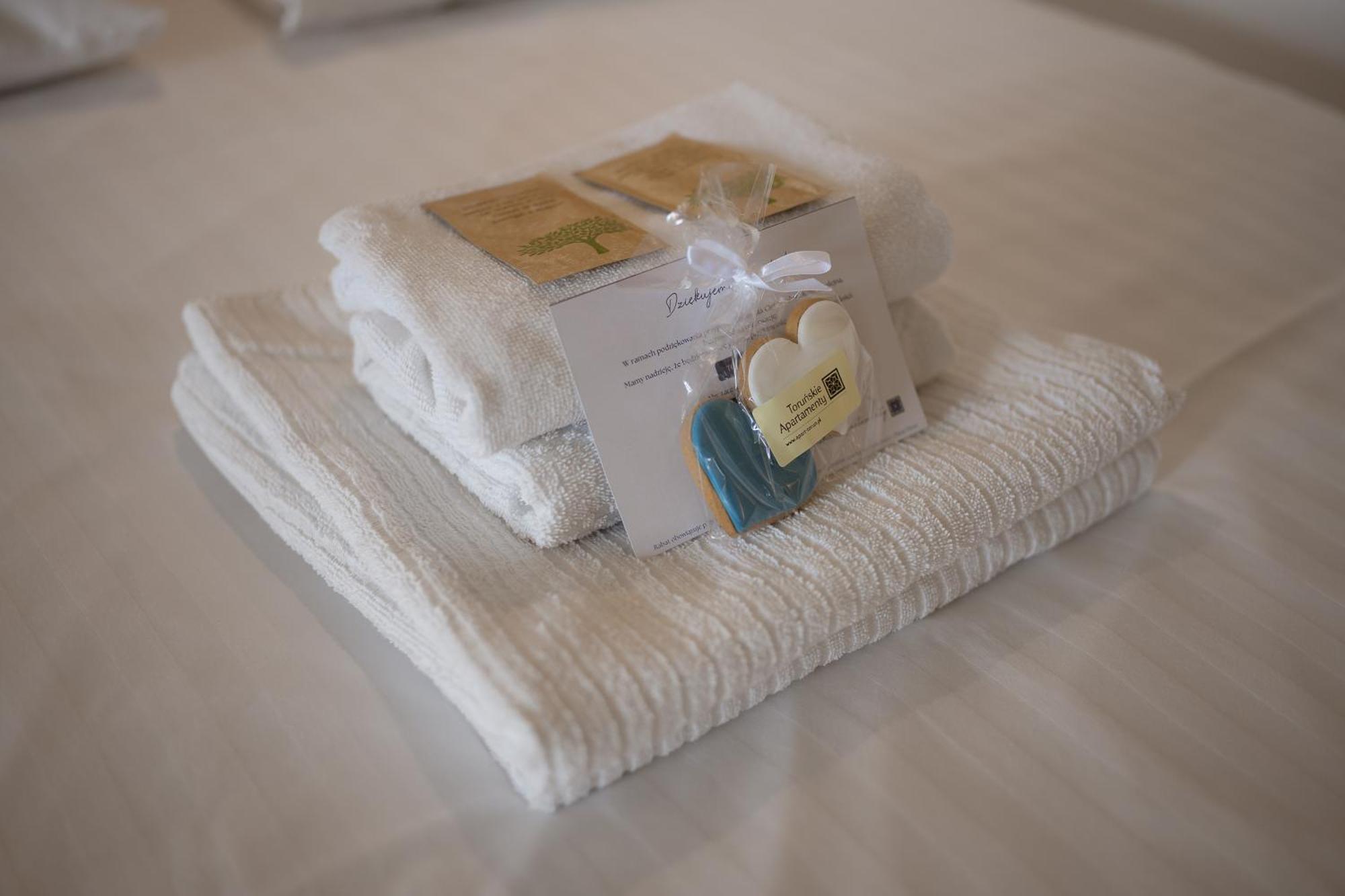 Apartamenty Secesja W Toruniu Luaran gambar